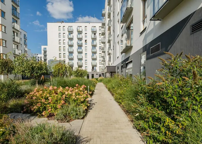 Kombucha Premium Wynalazek Warsaw