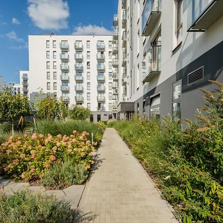 Kombucha Premium Wynalazek Varsovia